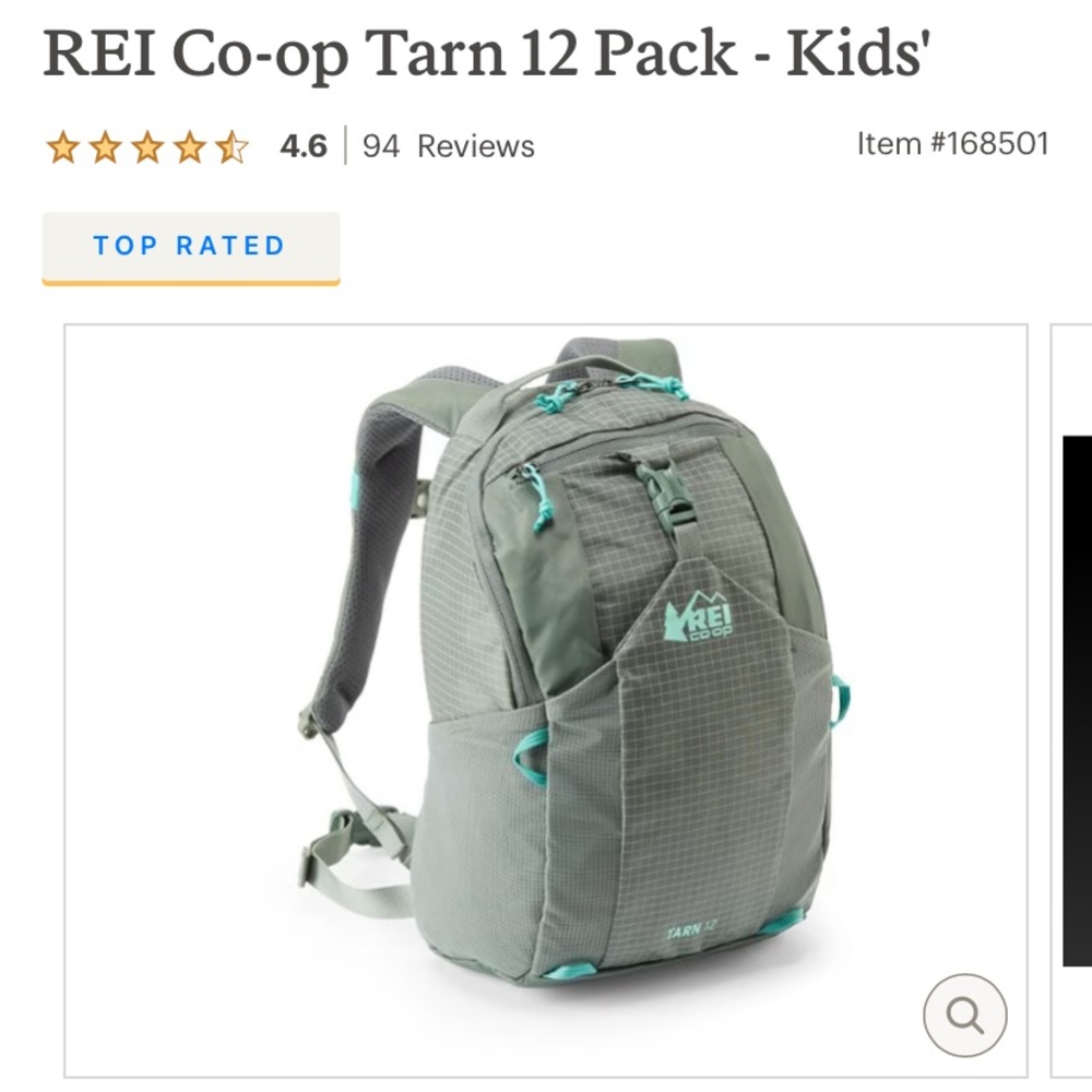 REI Tarn 12 backpack EUC